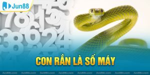 Nằm mơ thấy rắn là điềm báo gì và đánh con nào?