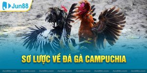 Sơ lược về đá gà Campuchia